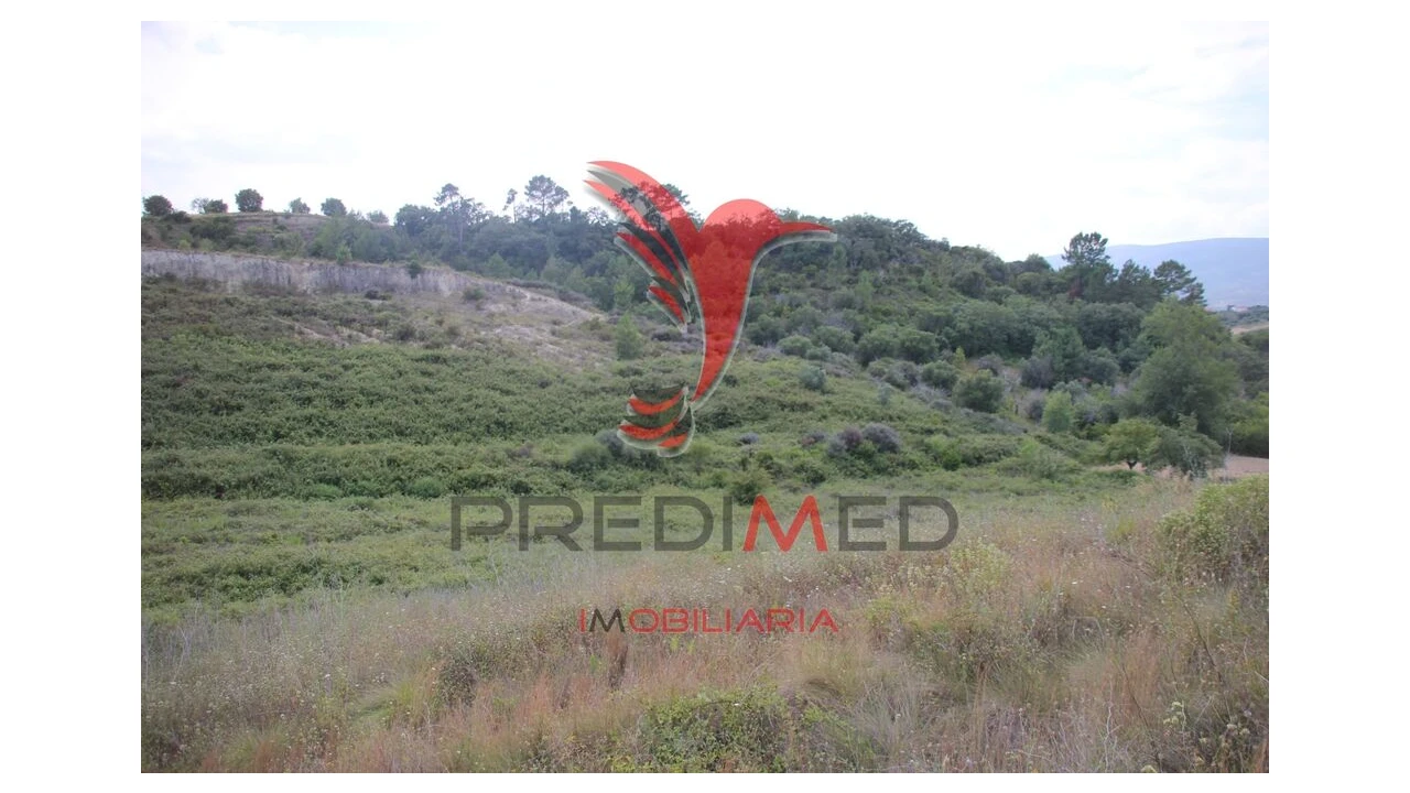 Terreno para Venda em Chancelaria Foto 7