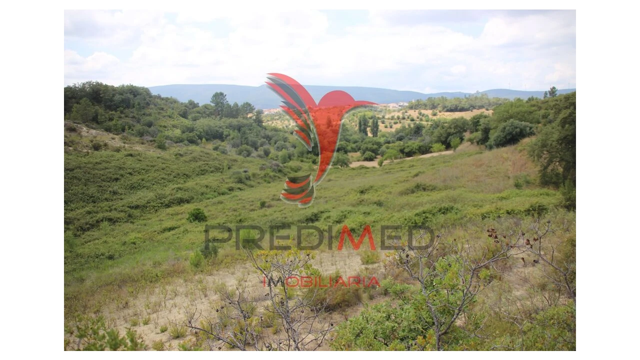 Terreno para Venda em Chancelaria Foto 11