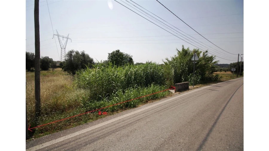 Terreno para Venda em Sebal e Belide Foto 4