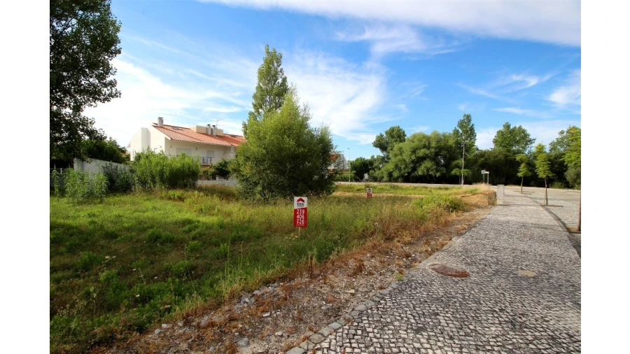 Terreno para Venda em Sebal e Belide Foto 2