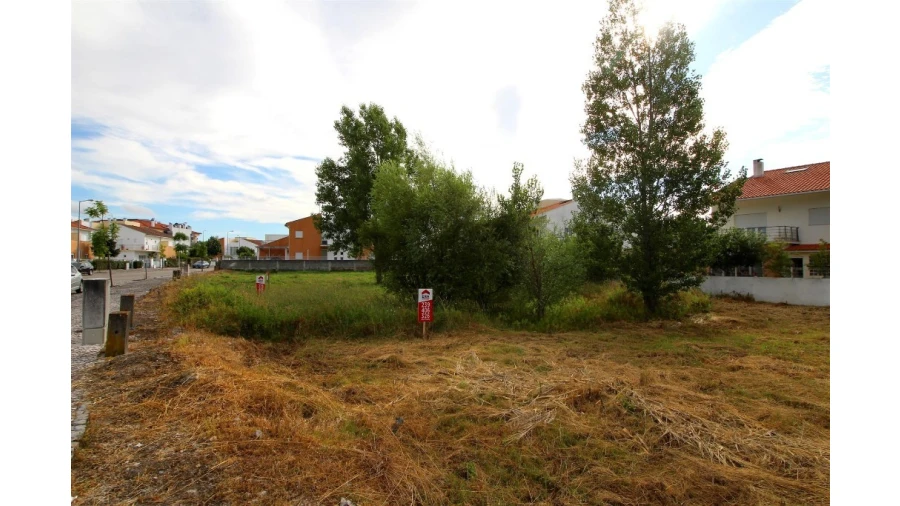 Terreno para Venda em Sebal e Belide Foto 3