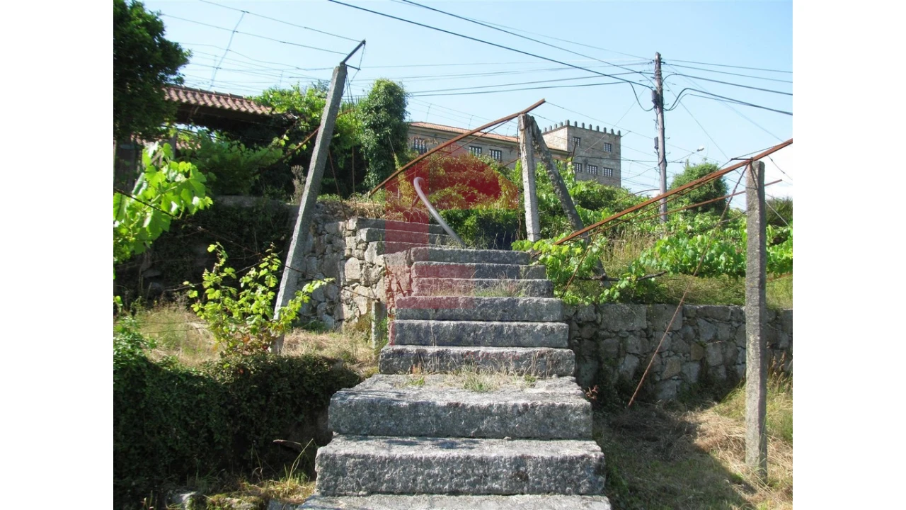 Quinta T13 para Venda em Coucieiro Foto 43