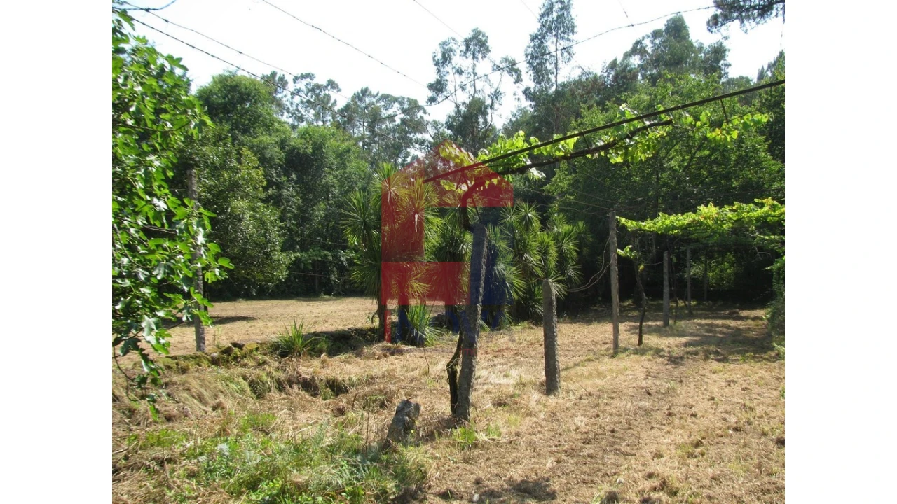 Quinta T13 para Venda em Coucieiro Foto 39