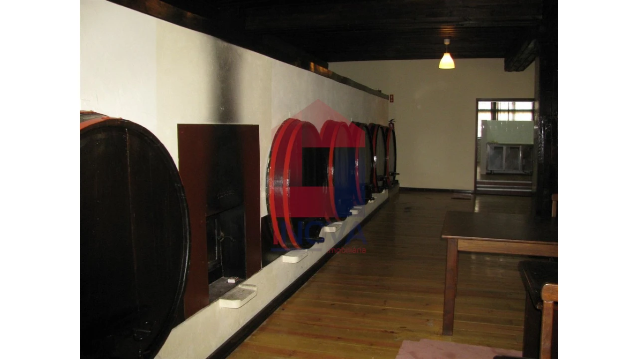 Quinta T13 para Venda em Coucieiro Foto 9