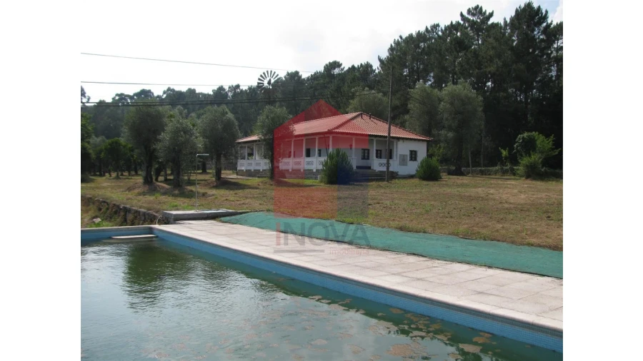 Quinta T13 para Venda em Coucieiro Foto 19