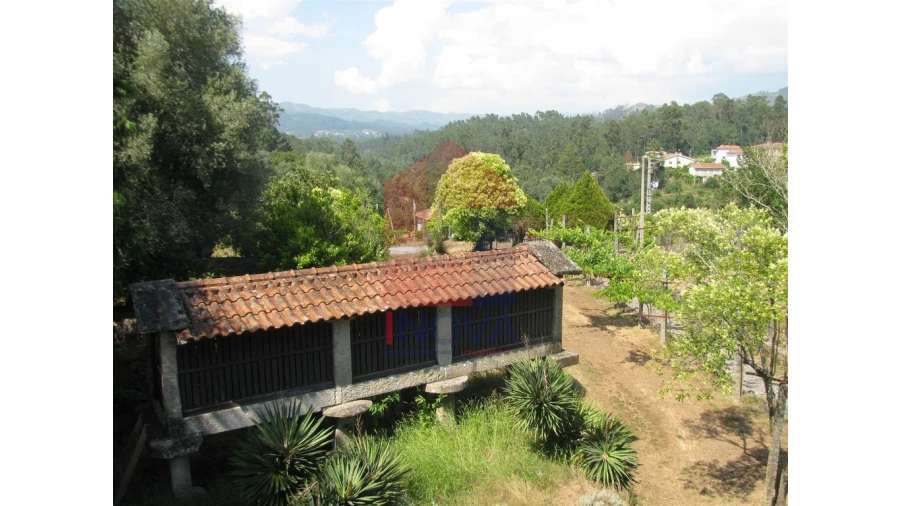 Quinta T13 para Venda em Coucieiro Foto 11