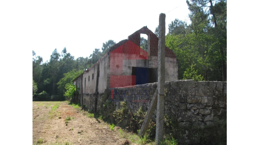 Quinta T13 para Venda em Coucieiro Foto 38