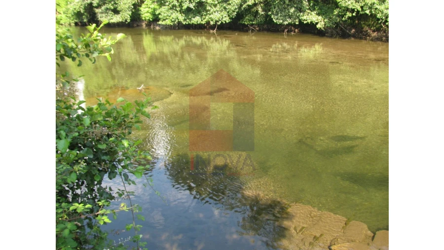 Quinta T13 para Venda em Coucieiro Foto 45