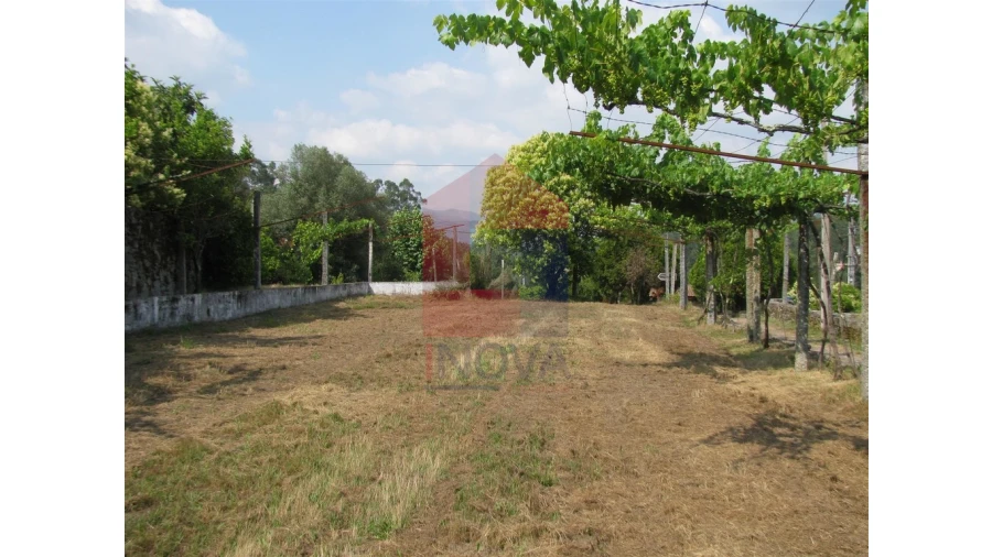 Quinta T13 para Venda em Coucieiro Foto 47