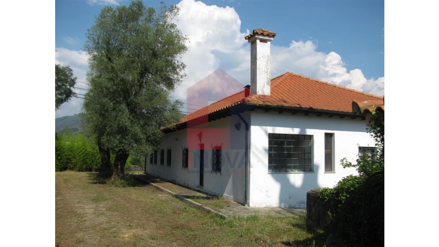 Quinta T13 para Venda em Coucieiro Foto 21