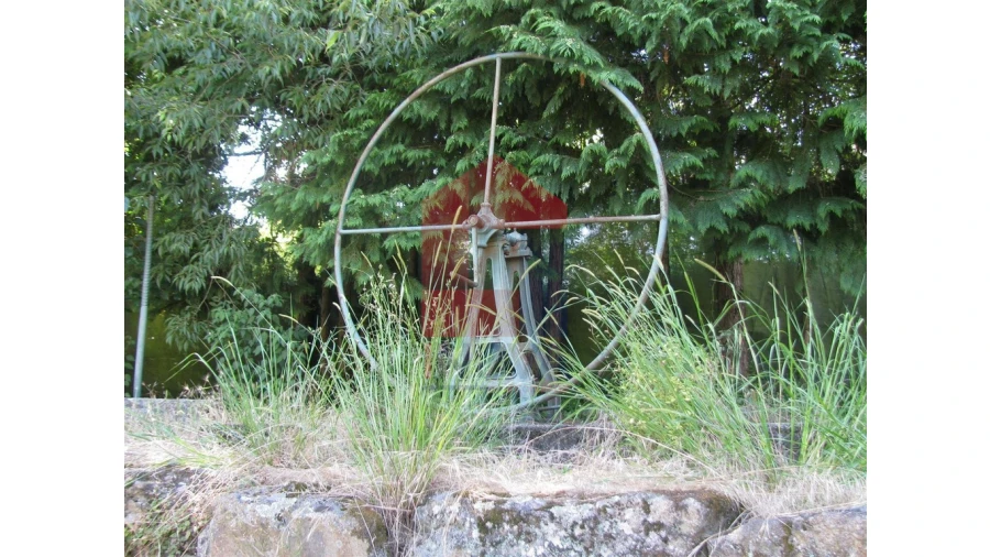 Quinta T13 para Venda em Coucieiro Foto 40