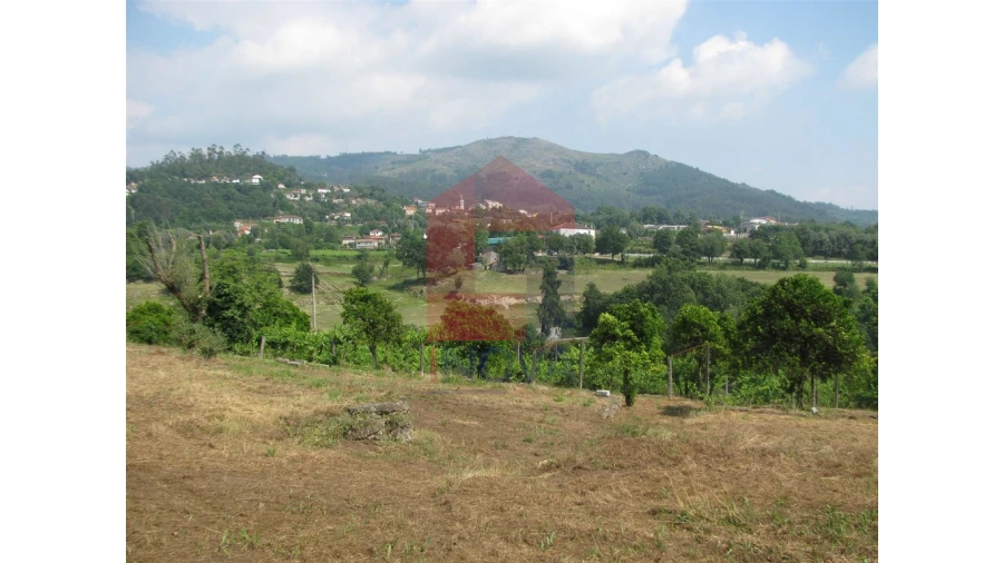 Quinta T13 para Venda em Coucieiro Foto 52