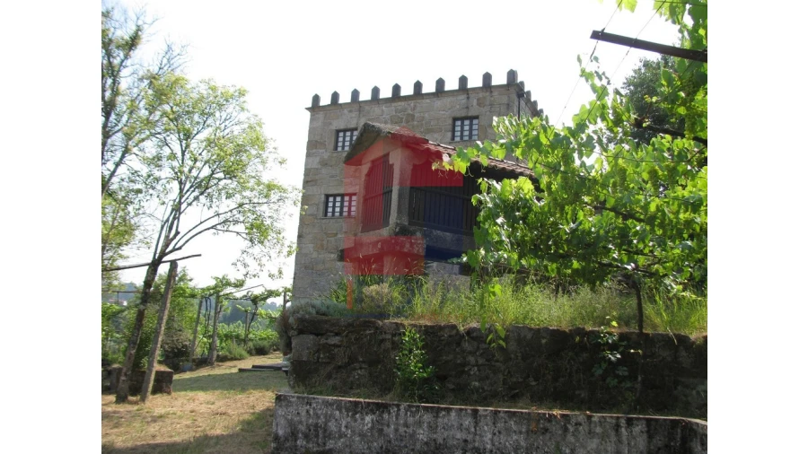 Quinta T13 para Venda em Coucieiro Foto 48