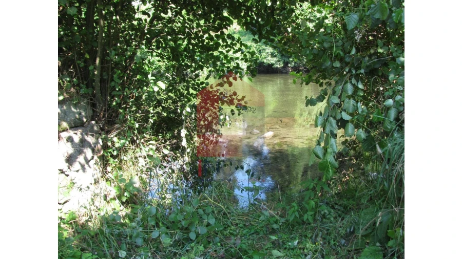 Quinta T13 para Venda em Coucieiro Foto 44