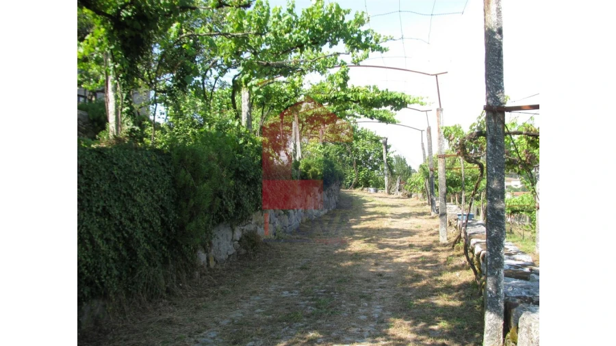 Quinta T13 para Venda em Coucieiro Foto 42