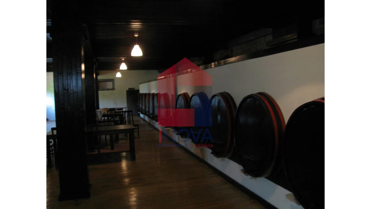 Quinta T13 para Venda em Coucieiro Foto 8