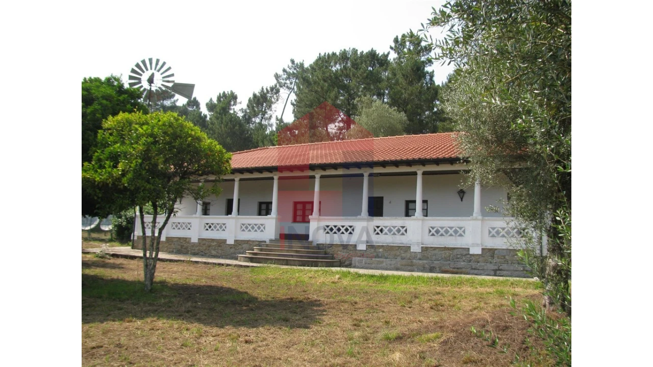 Quinta T13 para Venda em Coucieiro Foto 36