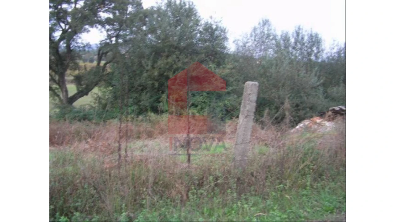 Terreno para Venda em Coucieiro Foto 2