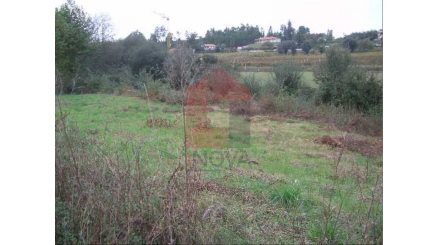 Terreno para Venda em Coucieiro
