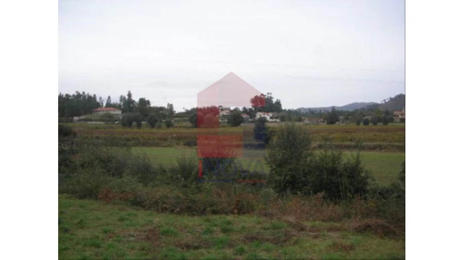 Terreno para Venda em Coucieiro Foto 4