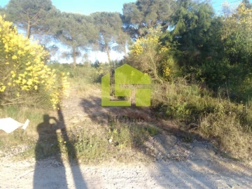 Terreno para Venda em Assafarge e Antanhol