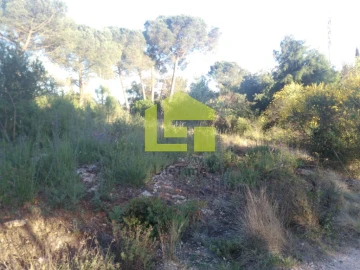 Terreno para Venda em Assafarge e Antanhol