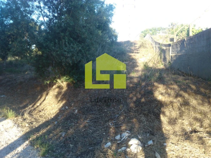 Terreno para Venda em Assafarge e Antanhol Foto 4