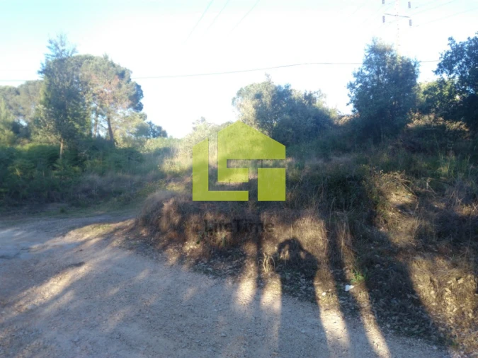 Terreno para Venda em Assafarge e Antanhol Foto 5