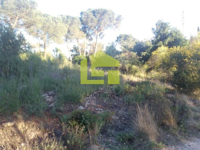 Terreno para Venda em Assafarge e Antanhol Foto 10