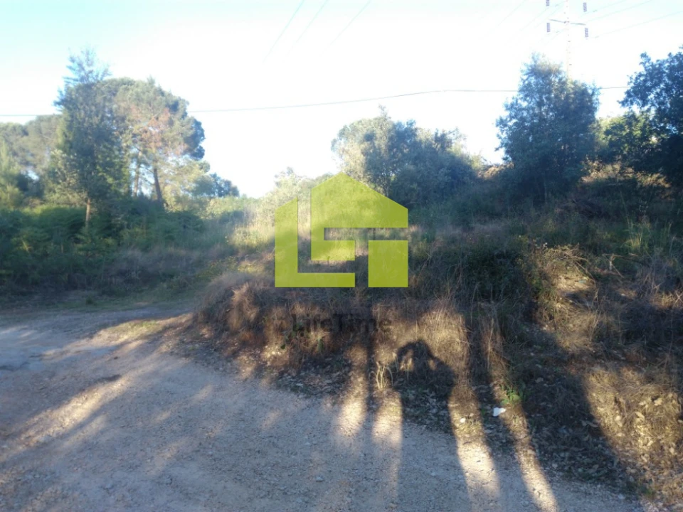 Terreno para Venda em Assafarge e Antanhol Foto 5