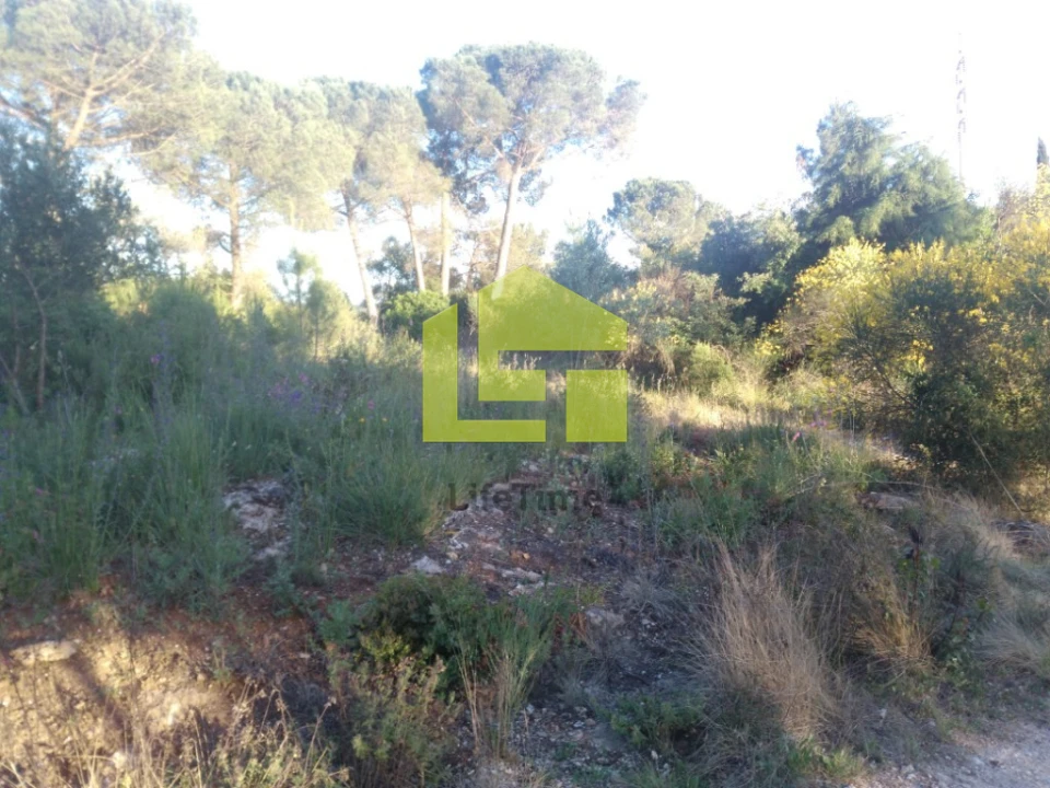 Terreno para Venda em Assafarge e Antanhol Foto 10