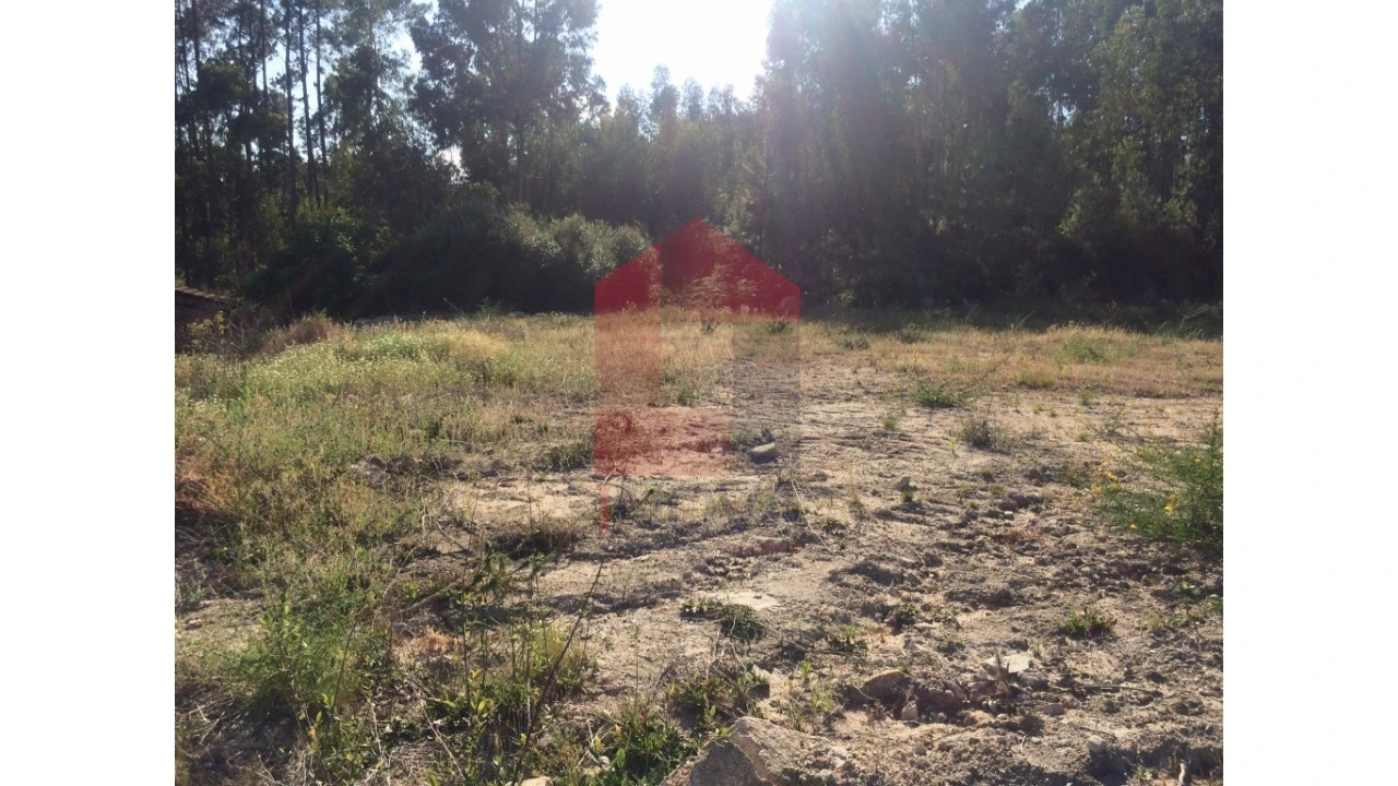 Terreno para Venda em Oriz (Santa Marinha) e Oriz (São Miguel) Foto 3