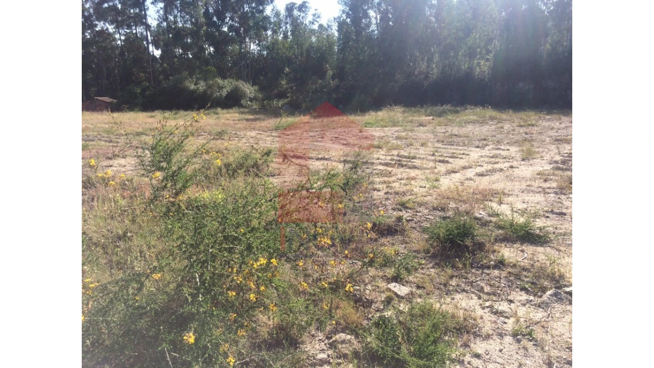 Terreno para Venda em Oriz (Santa Marinha) e Oriz (São Miguel) Foto 2