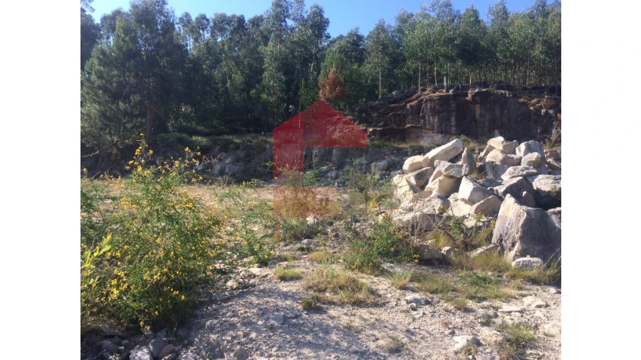 Terreno para Venda em Oriz (Santa Marinha) e Oriz (São Miguel) Foto 1