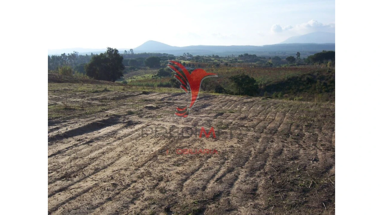 Terreno para Venda em Aveiras de Cima Foto 3