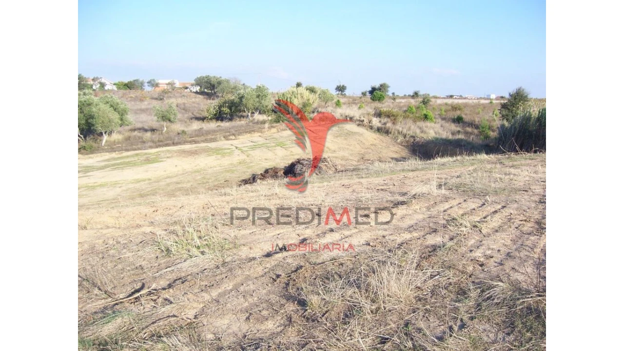 Terreno para Venda em Aveiras de Cima Foto 2