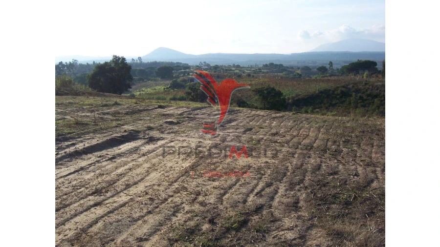Terreno para Venda em Aveiras de Cima Foto 4