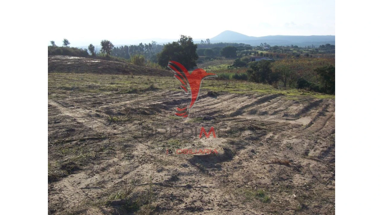 Terreno para Venda em Aveiras de Cima Foto 5