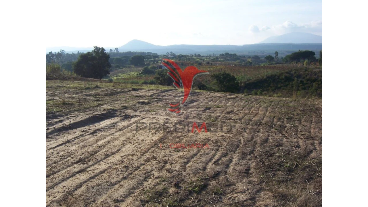 Terreno para Venda em Aveiras de Cima Foto 4