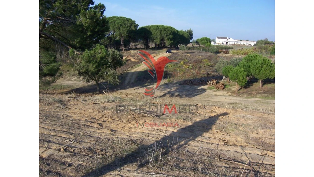Terreno para Venda em Aveiras de Cima Foto 1