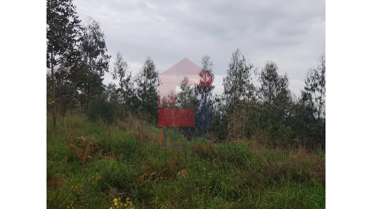 Terreno para Venda em Esqueiros, Nevogilde e Travassós Foto 4