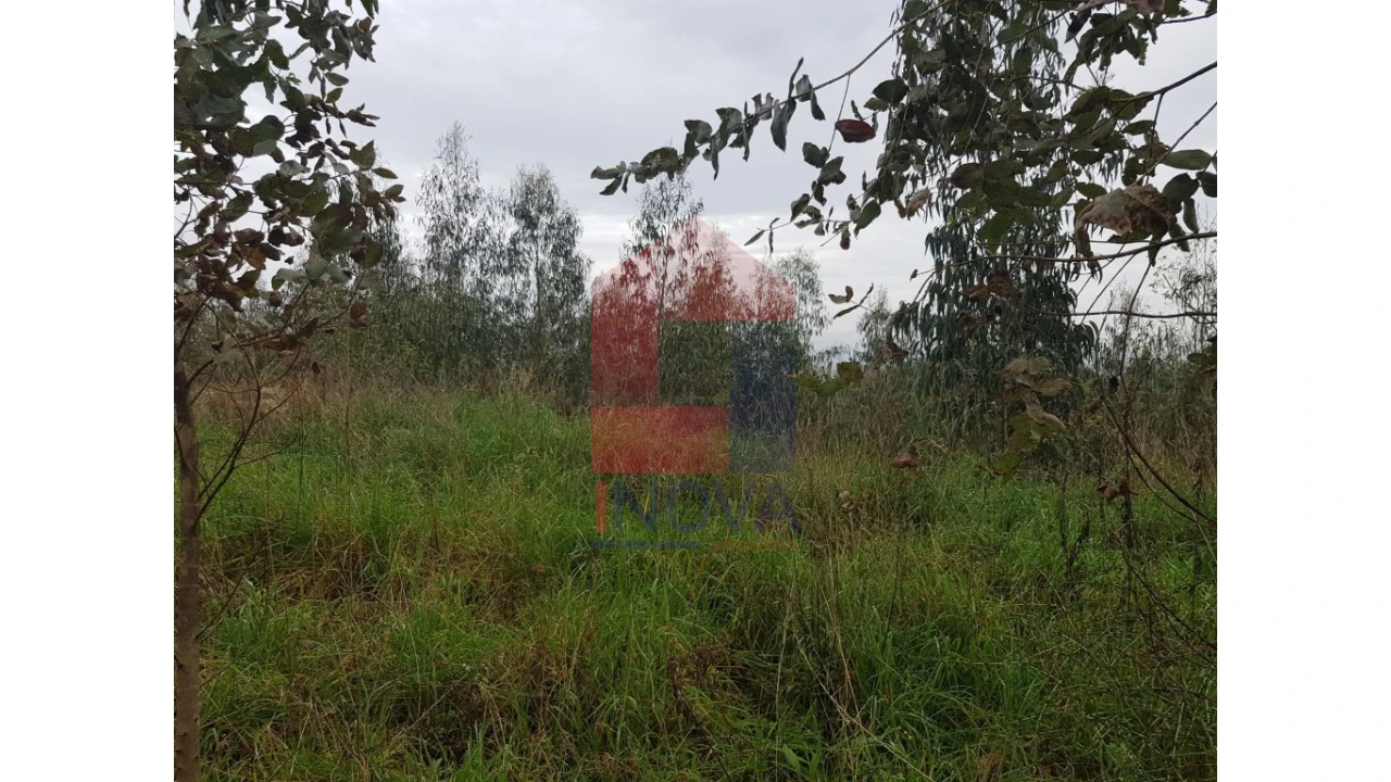 Terreno para Venda em Esqueiros, Nevogilde e Travassós Foto 7