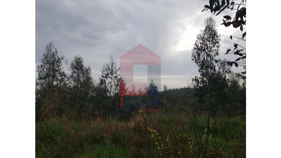 Terreno para Venda em Esqueiros, Nevogilde e Travassós Foto 8