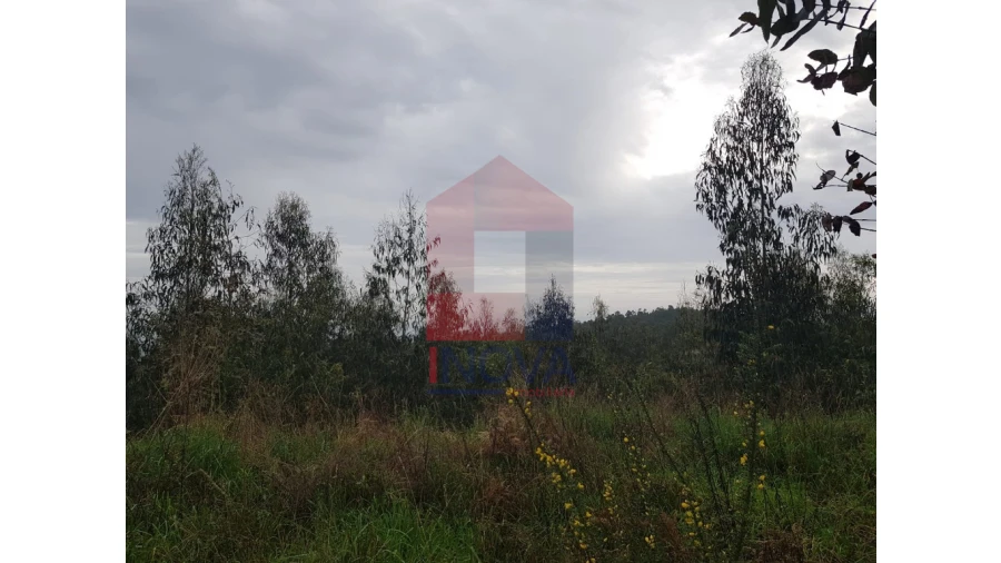 Terreno para Venda em Esqueiros, Nevogilde e Travassós Foto 3