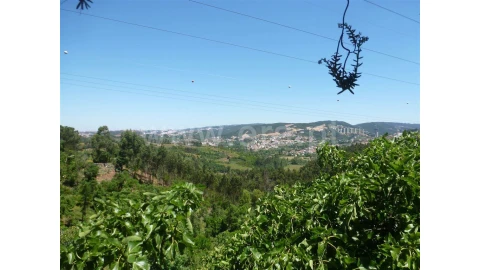 Terreno para Venda em Trouxemil e Torre de Vilela
