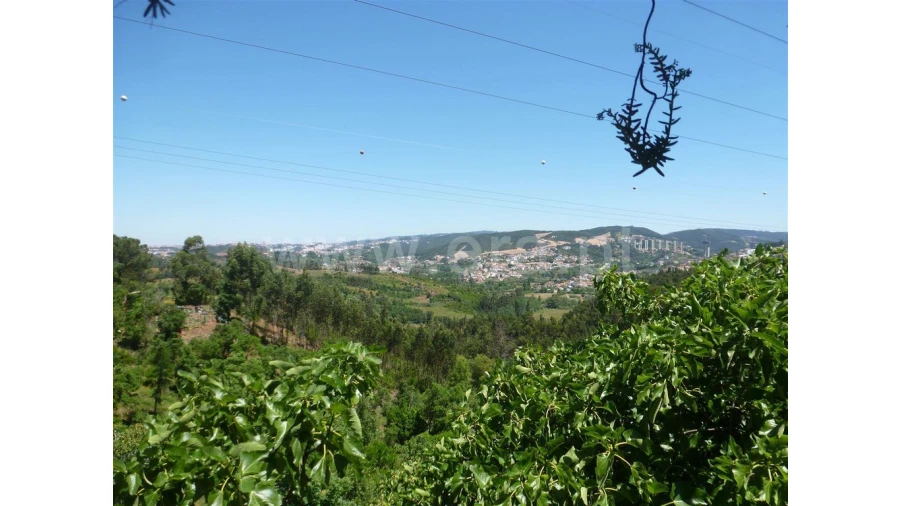 Terreno para Venda em Trouxemil e Torre de Vilela Foto 2