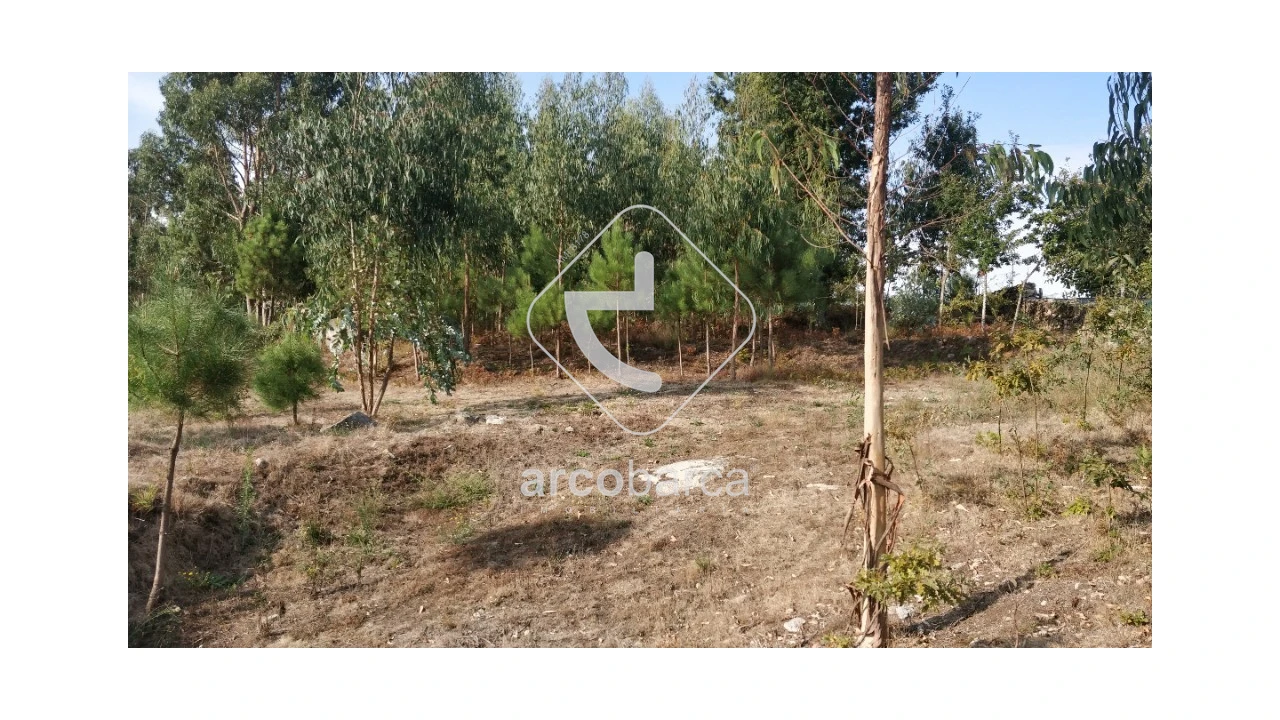 Terreno para Venda em Formariz e Ferreira Foto 2
