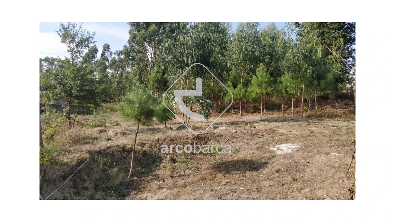 Terreno para Venda em Formariz e Ferreira Foto 3