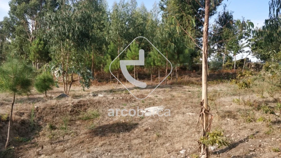 Terreno para Venda em Formariz e Ferreira Foto 2