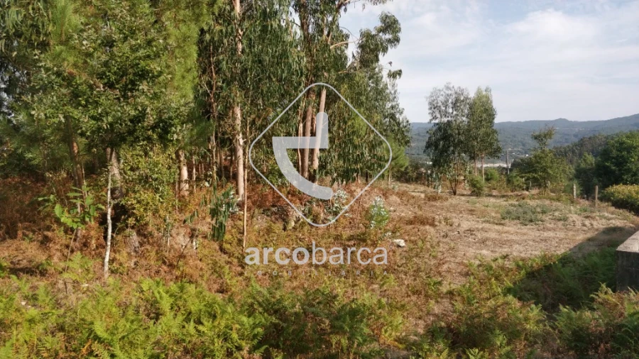 Terreno para Venda em Formariz e Ferreira Foto 5